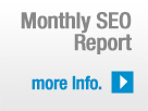 Monthly SEO Report