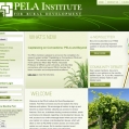 Website: PELA Institute